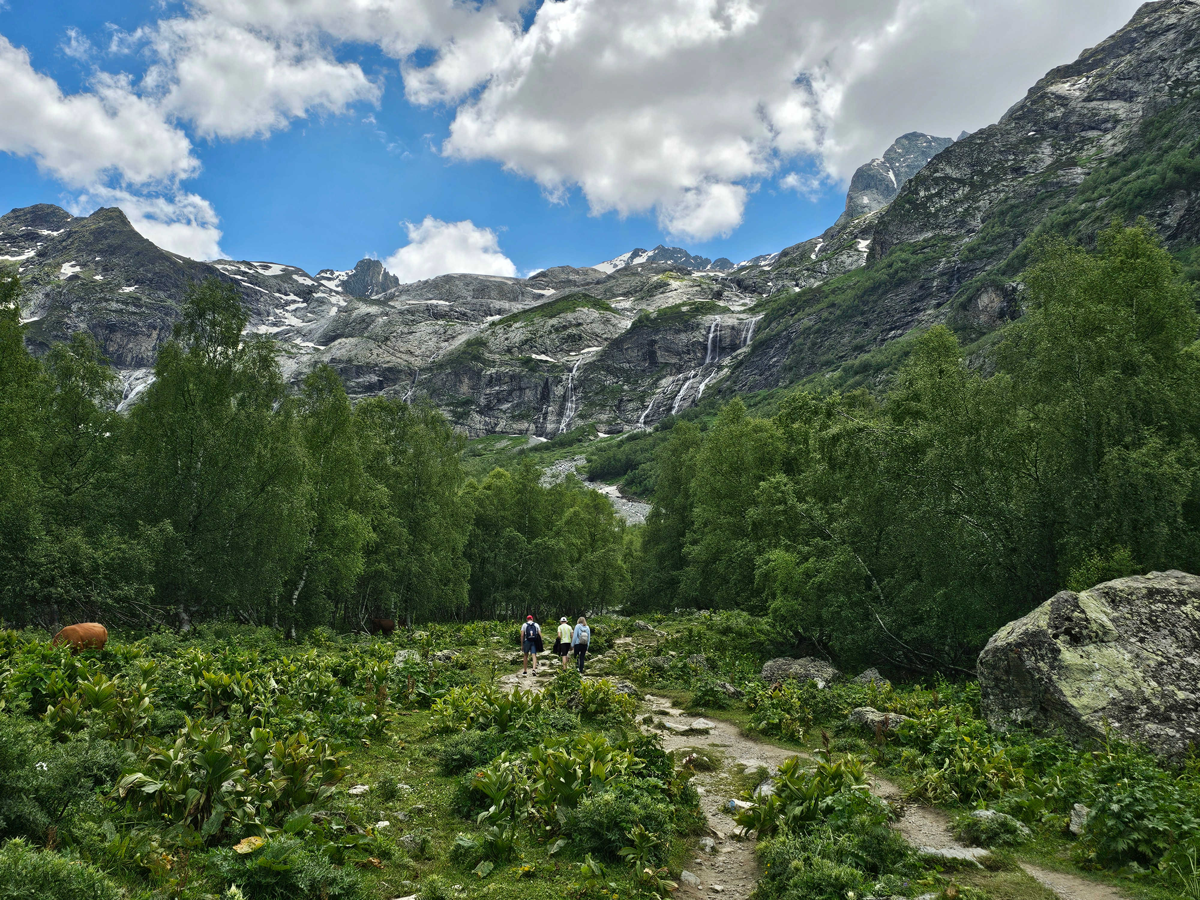 Sofia Falls